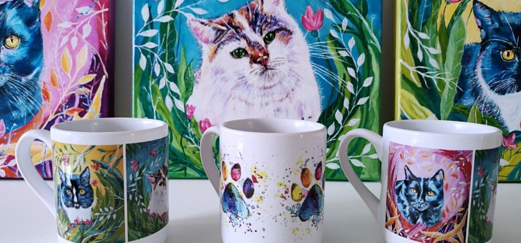 V Schroniskowy Dzień Kota